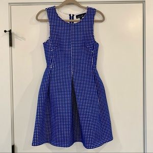 Francesca’s Blue Rain Gingham Blue and White Printed Dress Size Medium